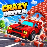 Play Crazy Driver Game