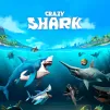 Play Crazy Shark Game