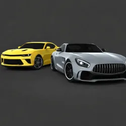 Motor Sport Challenge Type R